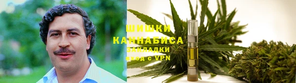 прущая мука Магас