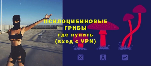 шишки Майский