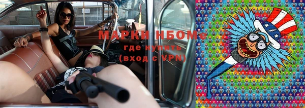 шишки Майский