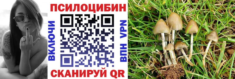 Псилоцибиновые грибы Cubensis  Чапаевск 
