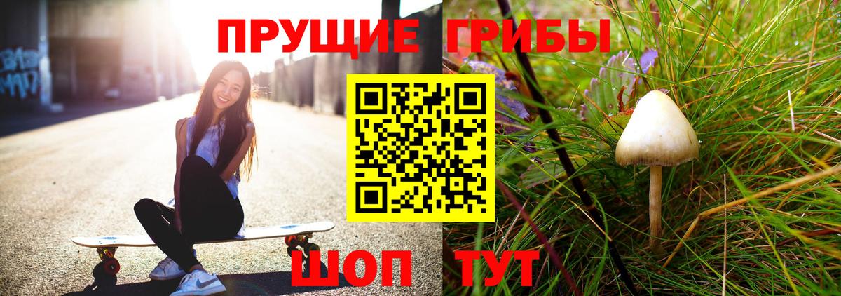 наркотики  Чапаевск  Псилоцибиновые грибы ЛСД 