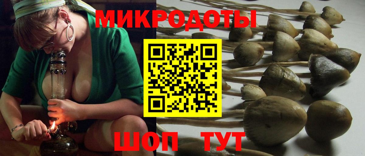 Галлюциногенные грибы MAGIC MUSHROOMS Чапаевск